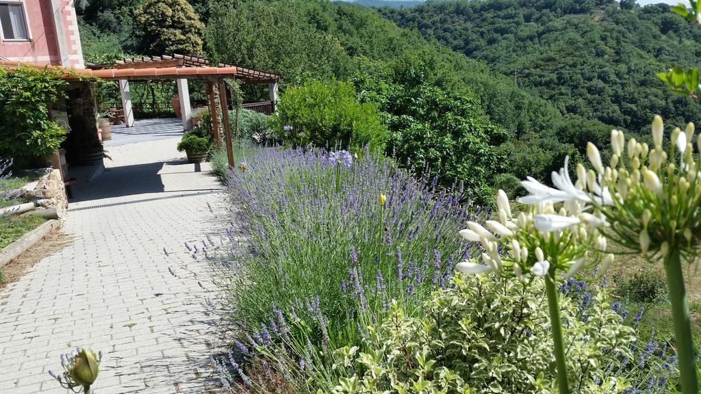 Agriturismo Gocce Di Luna Celle Ligure Ngoại thất bức ảnh