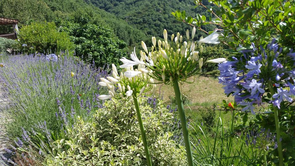 Agriturismo Gocce Di Luna Celle Ligure Ngoại thất bức ảnh