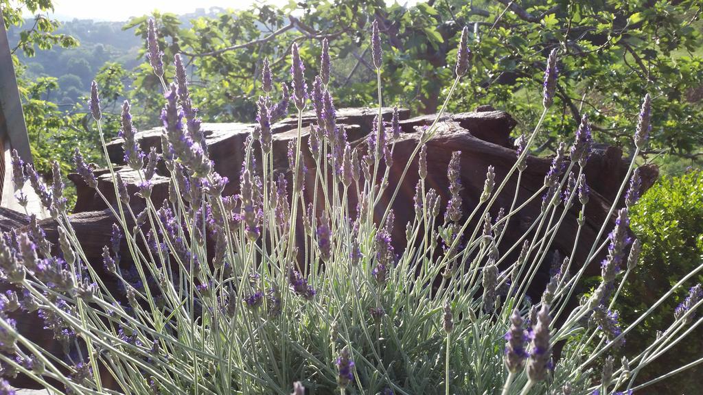 Agriturismo Gocce Di Luna Celle Ligure Ngoại thất bức ảnh