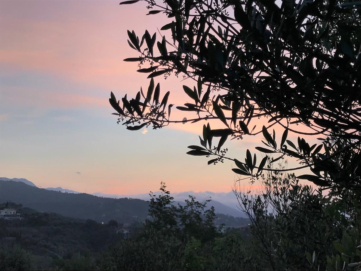 Agriturismo Gocce Di Luna Celle Ligure Ngoại thất bức ảnh